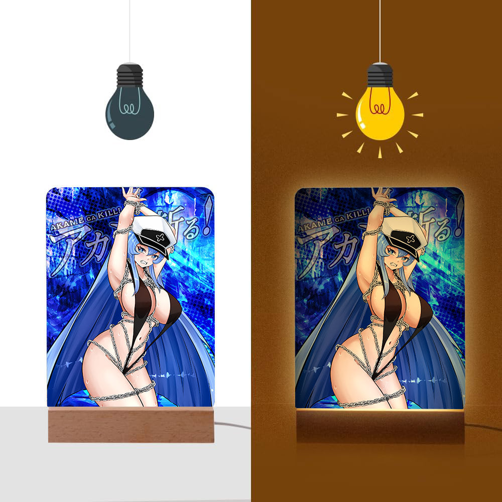 Esdeath Bondage Photo Lamps
